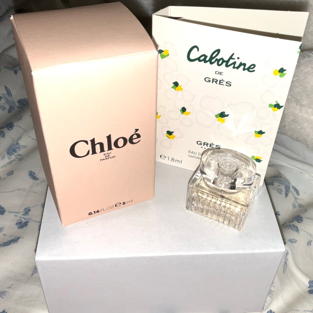 Mini Chloe & sample